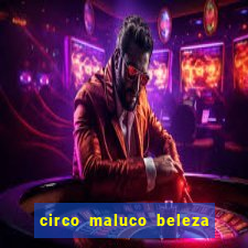 circo maluco beleza recife circo maluco